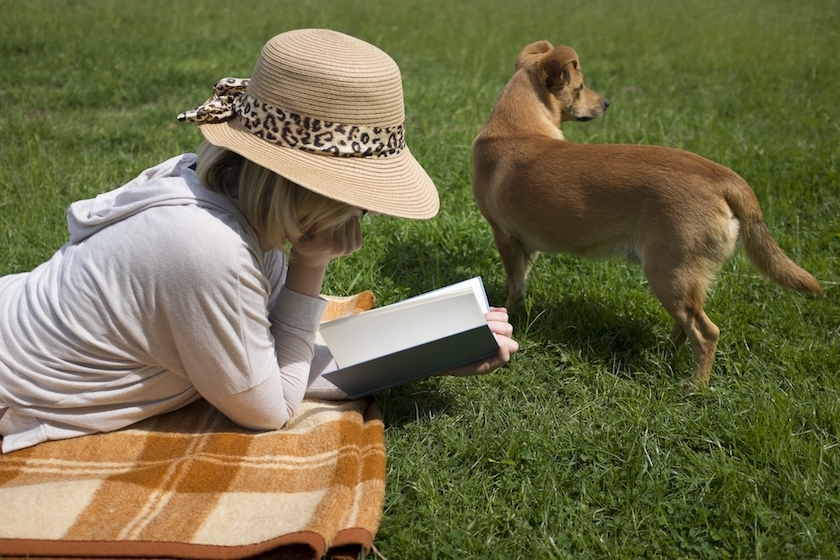 草原で読書をする女性と犬