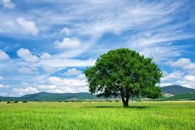 %e3%83%80%e3%82%a6%e3%83%b3%e3%83%ad%e3%83%bc%e3%83%89-4 | 一般社団法人 日本こころ ...